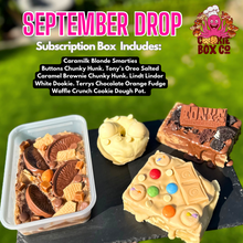 Load image into Gallery viewer, Monthly Subscription Box - SHIPS End MAY